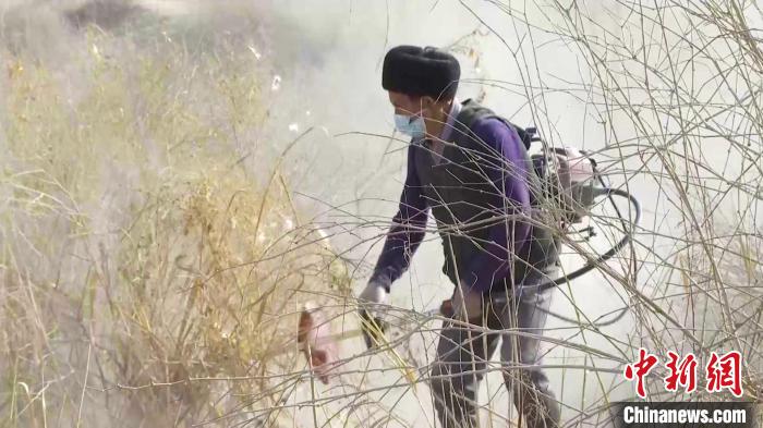 當?shù)孛癖姙橐恢曛晁笏髽涿缧拗羧~(資料圖)?！“⒙ぐ⒘Ω?攝