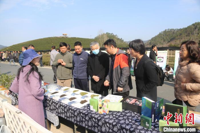 市民游客咨詢、品嘗千島湖茶?！⊥踅ú?攝