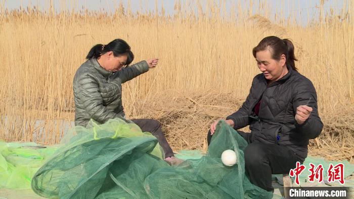 新疆巴州博湖縣博斯騰湖周邊的漁民忙著進(jìn)行收網(wǎng)整理工作?！∵_(dá)來 攝