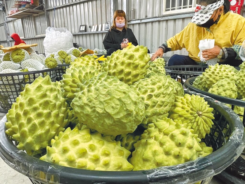 B04A00_P_01_02 B04A00_P_01_02