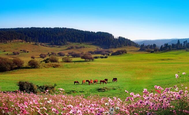 20230307022354728 20230307022354728