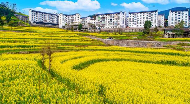 20230307022400950 20230307022400950