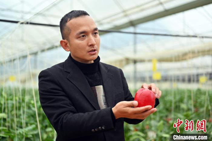 圖為賀州市返鄉(xiāng)創(chuàng)業(yè)的“新農(nóng)人”包國(guó)倫接受<a target='_blank' href='/' >中新網(wǎng)</a>記者采訪?！∮峋?攝