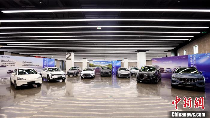 新能源汽車展覽。　鐵西區(qū)委宣傳部 攝