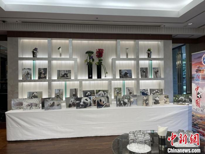 熊貓萌照展區(qū) 中國(guó)駐東京旅游辦事處供圖