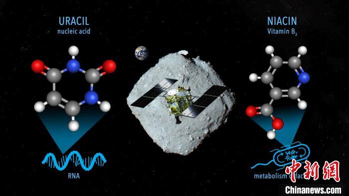 國際最新研究稱，近地小行星“龍宮”上發(fā)現(xiàn)尿嘧啶等核酸堿基