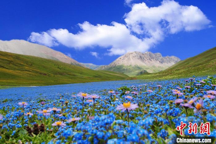 圖為雜多縣風光?！‰s多縣委宣傳部供圖