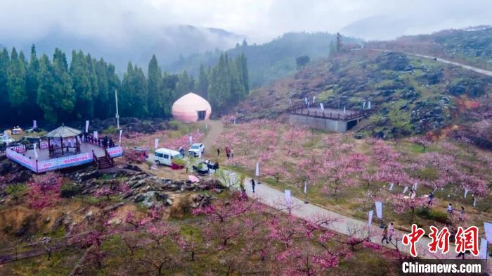 達塘村一景。　王煒 供圖