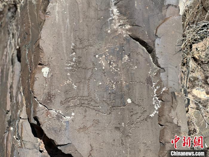 圖為稱多縣境內(nèi)的巖畫?！±罱瓕?攝