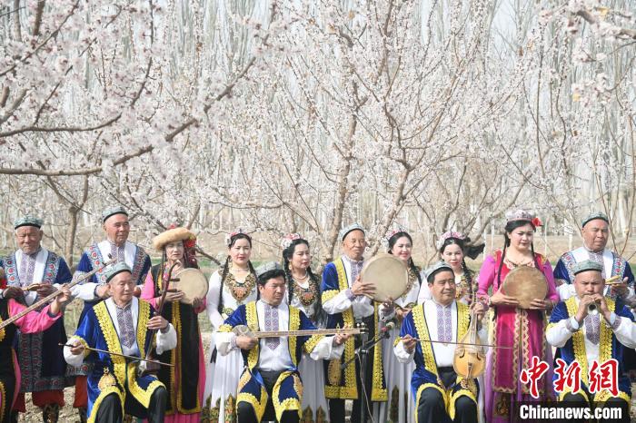 圖為英吉沙縣民間藝人用艾捷克、手鼓、熱瓦普、沙巴依等8種樂器，一起奏響《杏花園里的歡樂》?！O亭文 攝