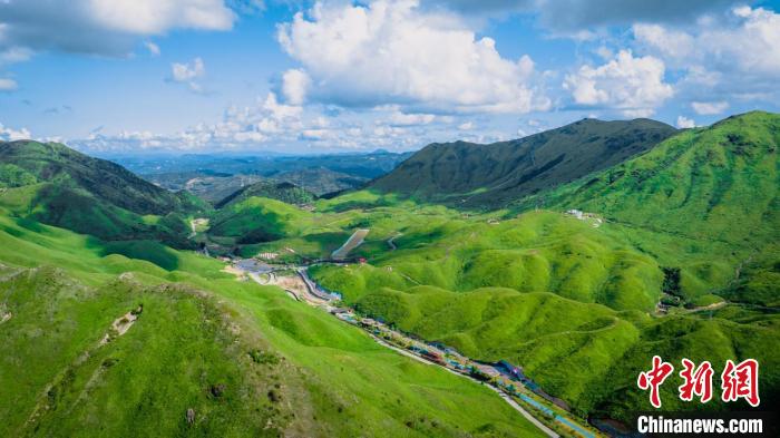 柘榮鴛鴦草場?！≡\ 　攝