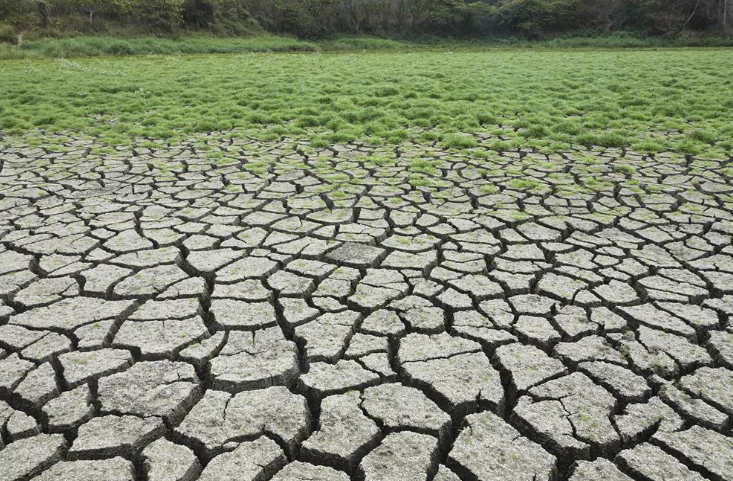 高雄仁武區(qū)觀音湖因久旱不雨土地干裂 高雄仁武區(qū)觀音湖因久旱不雨土地干裂