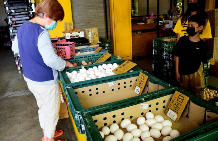 臺東蛋商表示在地供應(yīng)量無虞