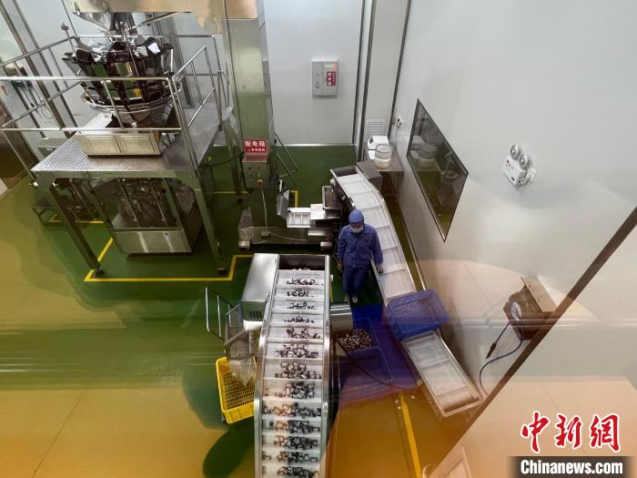 春光椰子王國里的可視化生產(chǎn)車間?！÷访?攝