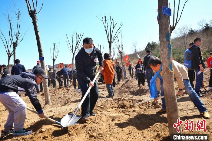 植樹現(xiàn)場?！±钛┓?攝