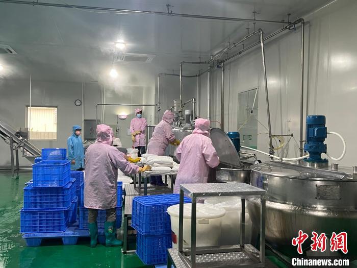 鮮友的生產(chǎn)車間內(nèi)，員工正在制作果汁產(chǎn)品?！÷访?攝