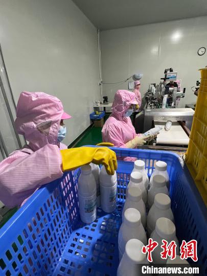 鮮友的生產(chǎn)車間內(nèi)，員工收集灌裝好的果汁，準(zhǔn)備送進冷凍庫?！÷访?攝