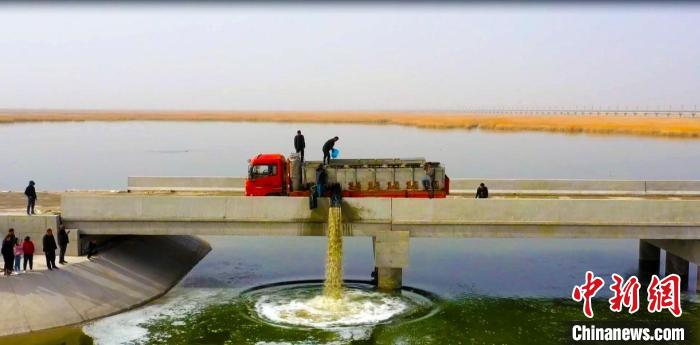 此次放流魚苗長(zhǎng)10厘米—30厘米，預(yù)計(jì)到今年10月份將再放流一批魚苗到臺(tái)特瑪湖水域?！“吞貭栠_(dá)拉 攝