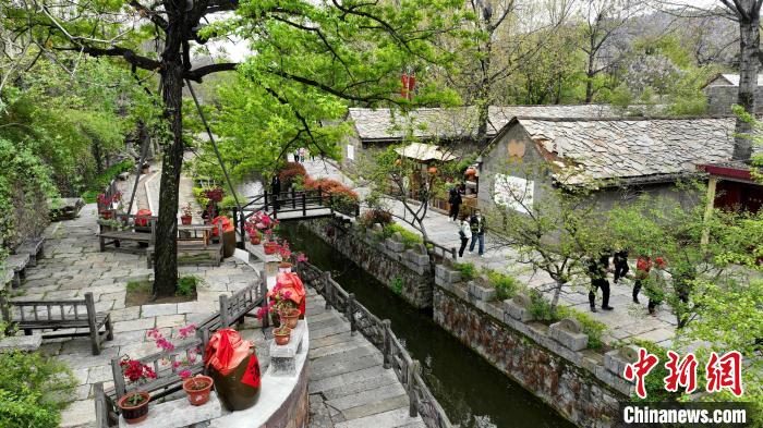 資料圖：蘭陵縣壓油溝景區(qū)內(nèi)仿古的石頭房、整齊的青石板路吸引游客參觀。(無人機照片) 劉芳芳 攝