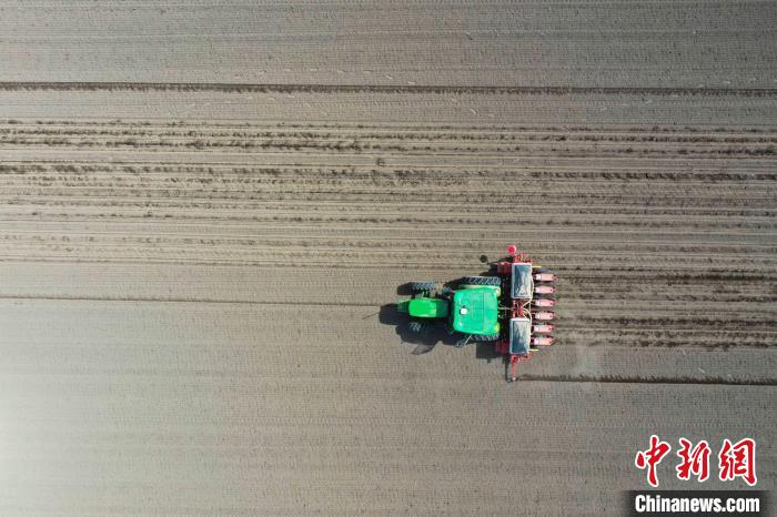 裝有北斗導(dǎo)航自動(dòng)駕駛系統(tǒng)的甜菜播種機(jī)來(lái)回穿梭作業(yè)。　 張文庭 　攝