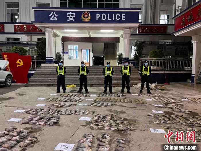 圖為移民管理警察對(duì)鱷魚爪清點(diǎn)標(biāo)號(hào)?！∴嚩赜?攝