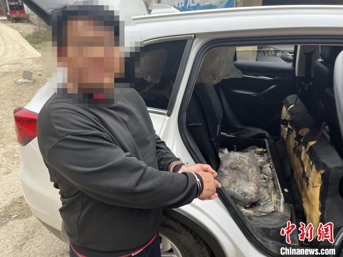 圖為嫌疑人對(duì)無(wú)合法手續(xù)鱷魚爪進(jìn)行指認(rèn)?！∴嚩赜?攝