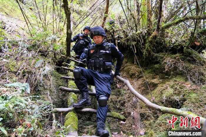 4月9日，拉郊邊境派出所移民管理警察在邊境地區(qū)原始森林進(jìn)行戍邊巡邏?！〗w波 攝
