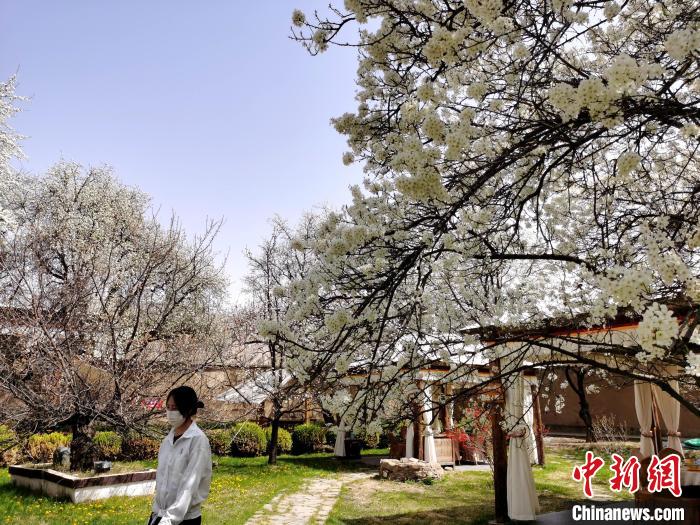 圖為噶達莊園一角?！?zhí)砀?攝