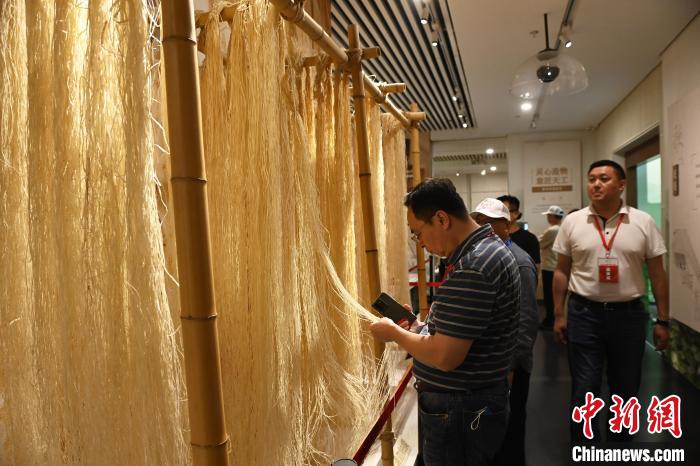 海外華文媒體嘉賓們參觀夏布博物館。　陳超 攝