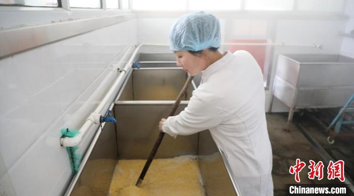 黃酒釀造需經(jīng)選米、淘米、蒸煮、接菌、制曲、前發(fā)酵、后發(fā)酵等一共18道工序?！∠蛏?攝