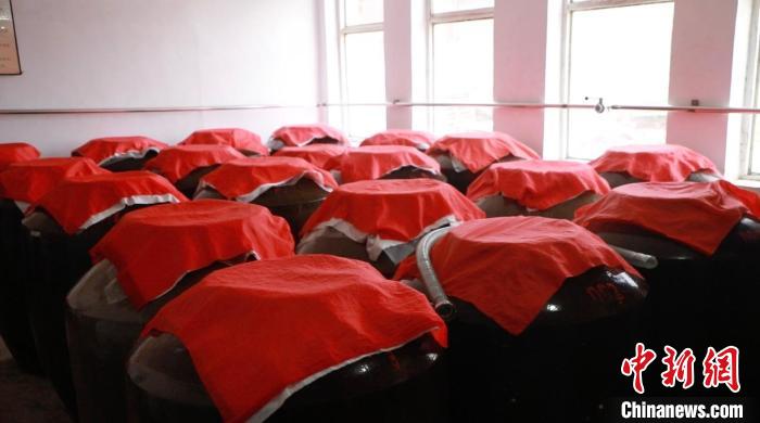 圖為正在瓷壇中發(fā)酵的黃酒。　向上 攝