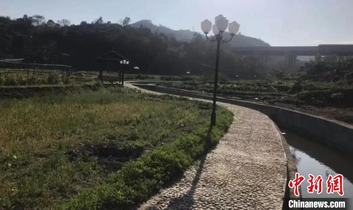 鋪前村中，景觀步道在田園間延伸?！∧习彩写a頭鎮(zhèn)政府 供圖