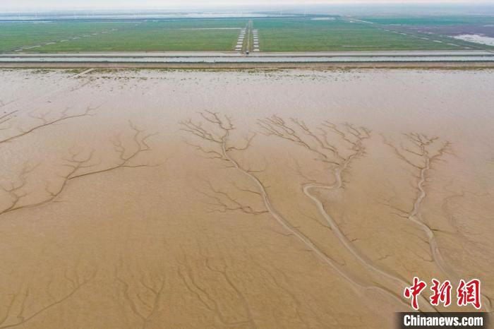 航拍條子泥濕地?！°蟛?攝
