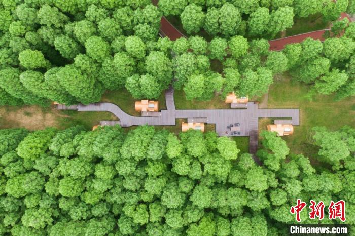 航拍黃海國(guó)家森林公園?！°蟛?攝