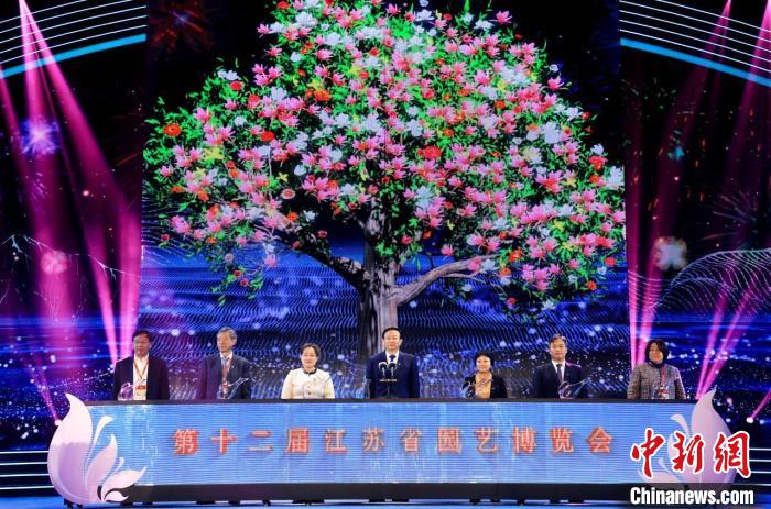 第十二屆江蘇園藝博覽會(huì)開幕：沉浸式“穿越”綠野仙蹤