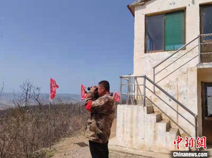 王強說，在山里習慣了，他對這里的一溝一壑了然于胸，這片山林幾乎就是他的世界?！罱▊?攝