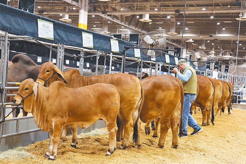 20230503005499 20230503005499