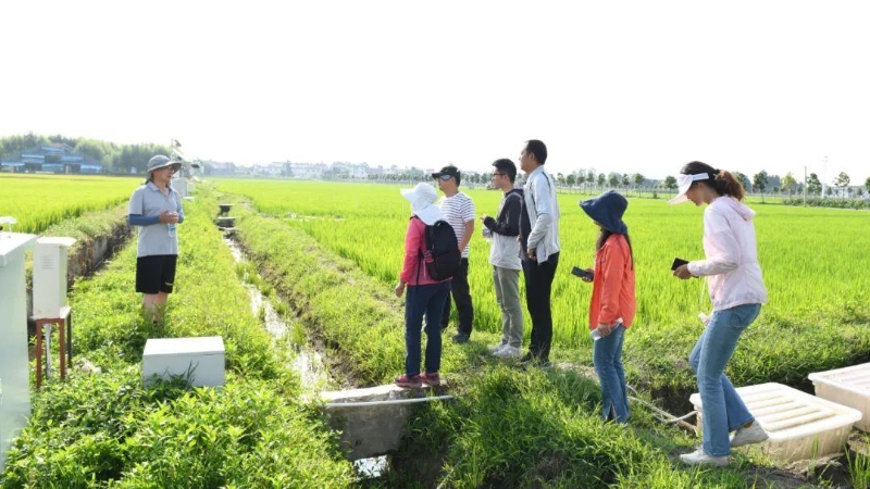 △云南大理古生村科技小院成員在田間調(diào)查。