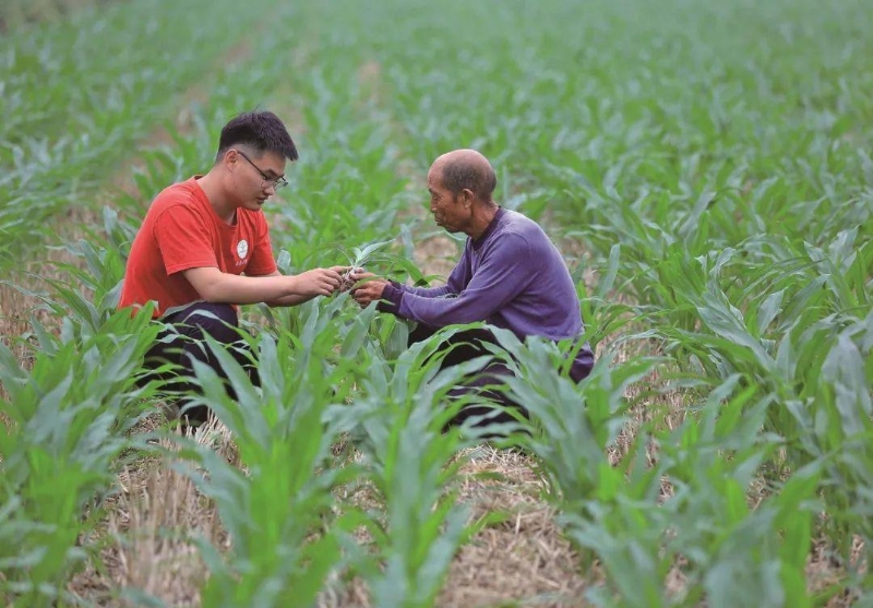 △科技小院的學(xué)生在給村民講解玉米種植知識。
