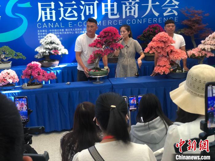 數(shù)十名主播在直播間內競拍花木盆景?！⒘?攝
