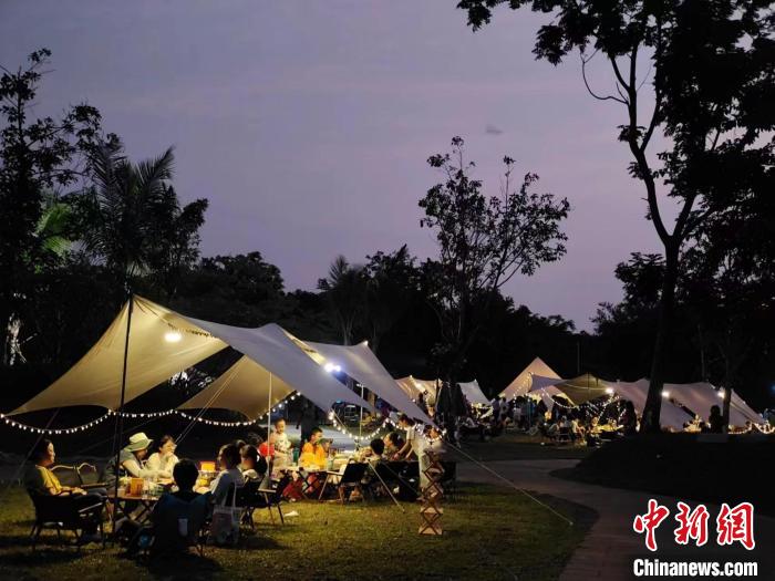 5月20日，在海口五源河國家濕地公園，數(shù)十個家庭在這里參加一場濕地科普和露營會。　?？谑袧竦乇Ｗo(hù)管理中心供圖