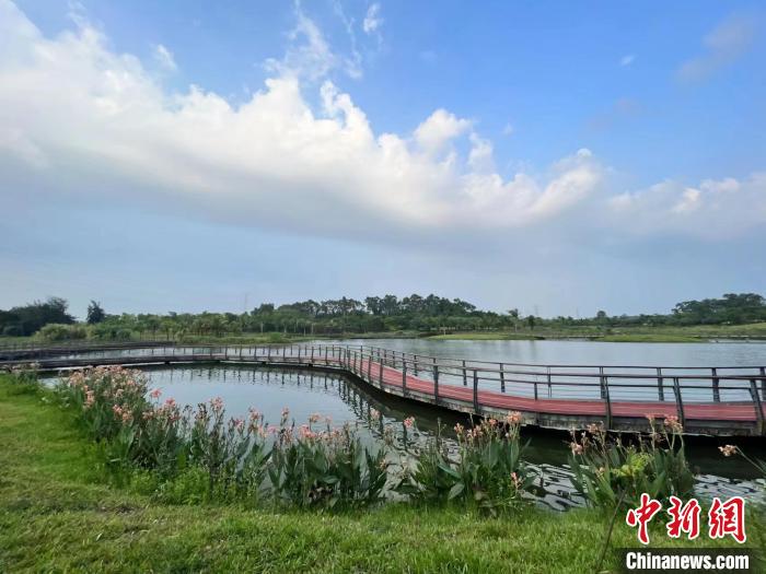 5月20日，五源河國家濕地公園美如畫。　?？谑袧竦乇Ｗo(hù)管理中心供圖