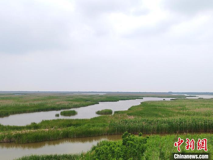 保護區(qū)內(nèi)的濕地。　谷華 攝