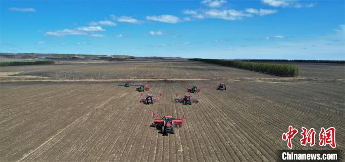 圖為大豆播種現(xiàn)場?！↑S艷雙 攝