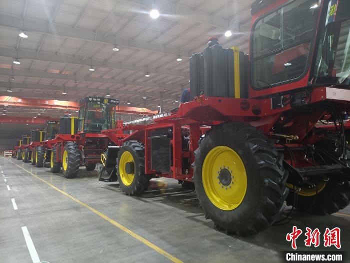 新疆棉花邁向“全產業(yè)鏈”:一朵棉花“鏈”起一個產業(yè)集群