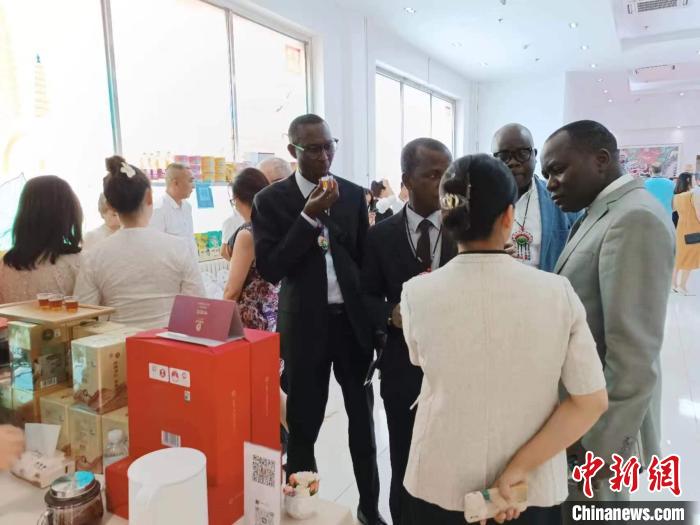 圖為活動現(xiàn)場?！≡颇鲜⊥廪k供圖