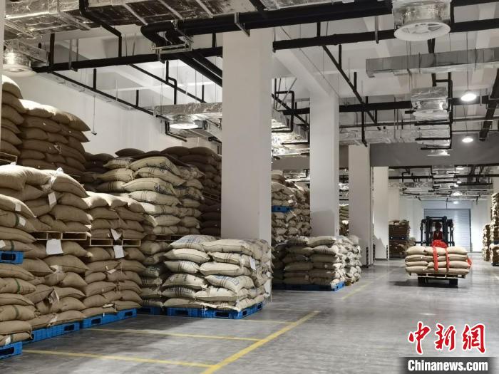 國內首個專業(yè)化、標準化的咖啡交易分撥中心——亞太咖啡生豆分撥中心啟用，可儲存咖啡生豆5萬噸。　鐘升 攝