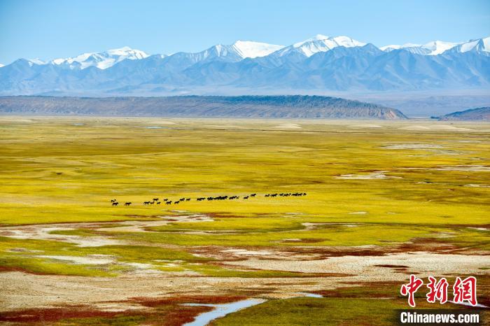 圖為2018年9月下旬，甘肅酒泉市肅北草原風(fēng)景如畫。(資料圖) 鄭磊斌 攝