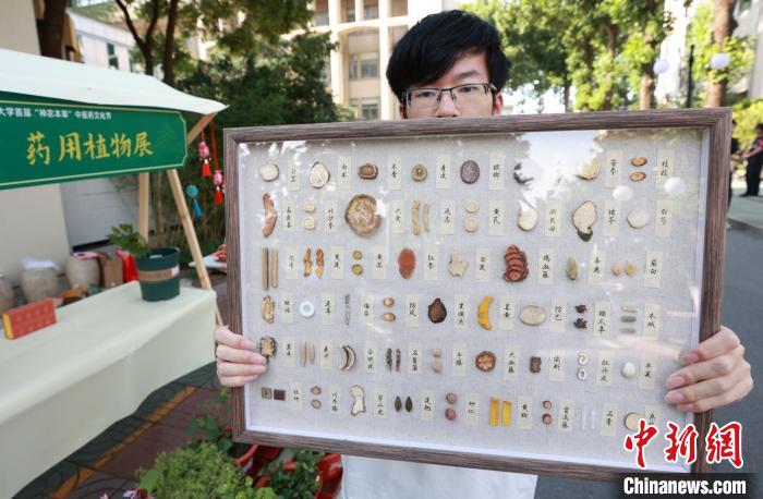 近日，在南京高校內(nèi)舉行的中醫(yī)藥文化活動。(資料圖) 泱波 攝