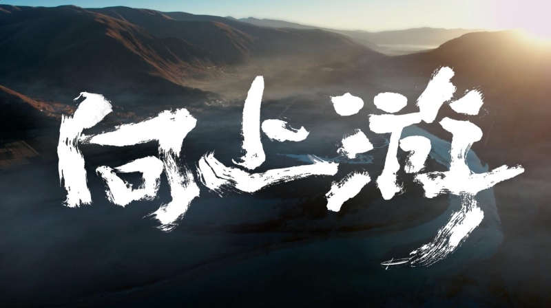 1687320257962079002.jpg 1687320257962079002.jpg